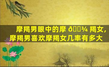 摩羯男眼中的摩 🌾 羯女,摩羯男喜欢摩羯女几率有多大